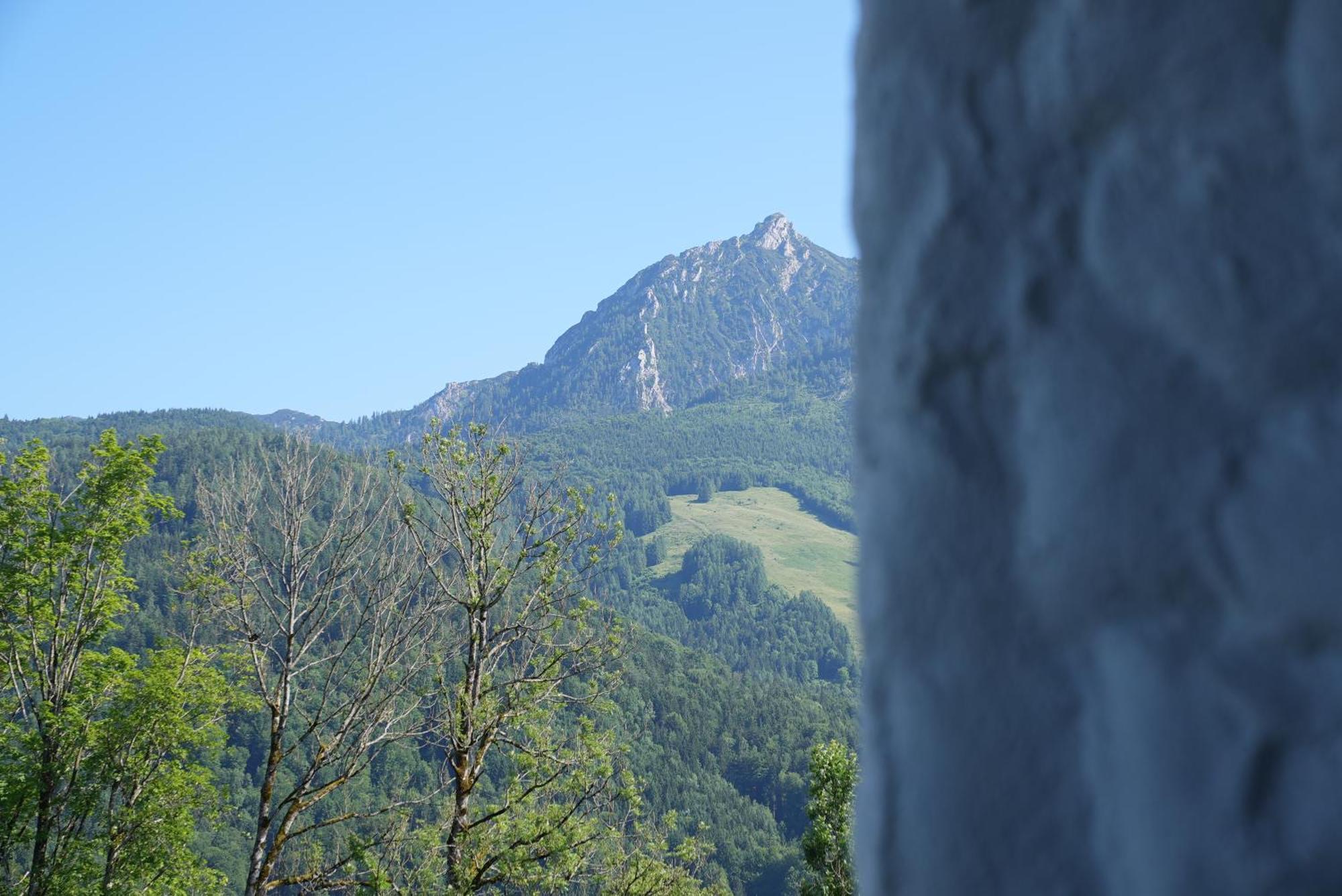 Bergblick 411 Am Wolfgangsee Strobl Værelse billede