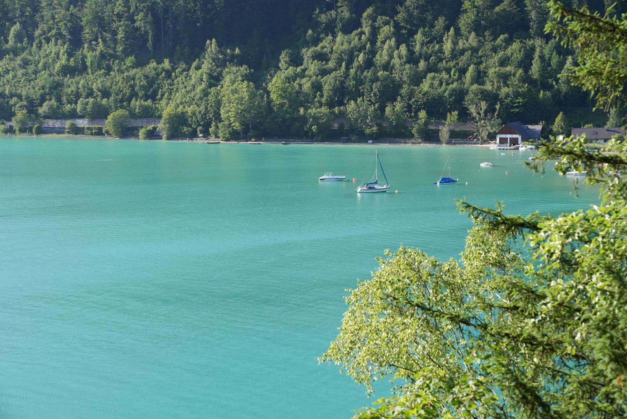 Bergblick 411 Am Wolfgangsee Strobl Værelse billede